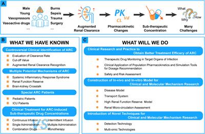 Augmented Renal Clearance: What Have We Known and What Will We Do?